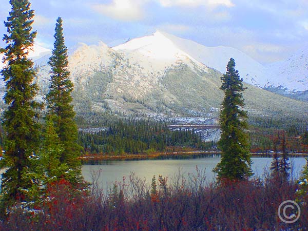 Canadian-Yukon---Snowcaps